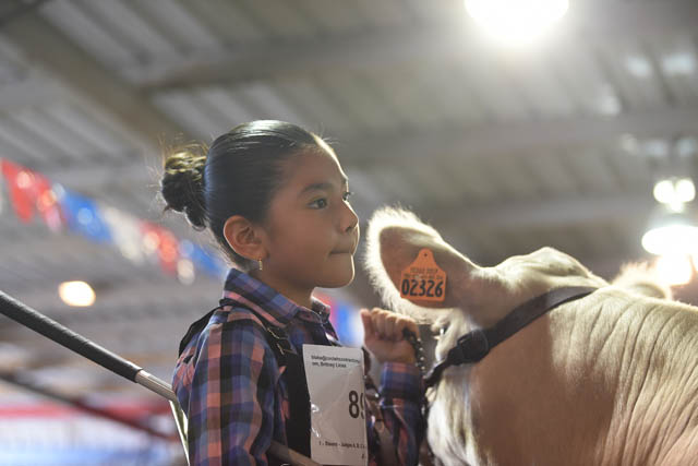 North Texas Fair & Rodeo